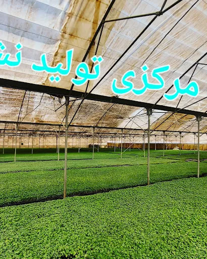 گلخانه مرکزی تولید نشا تکین
