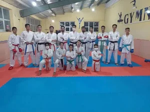 آکادمی کاراته پویا