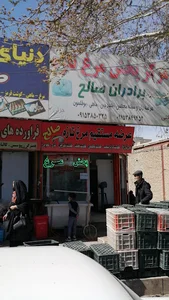 مرغ فروشی صالح