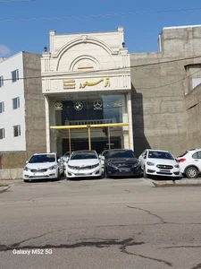 اتو مسعود