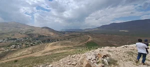 کارخانه نامزد