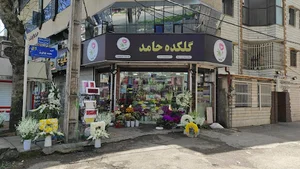 گلکده حامد