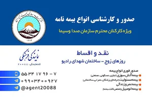 بیمه ایران نمایندگی فرهنگی