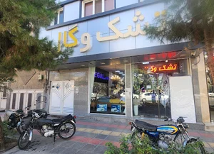 تشک وگال