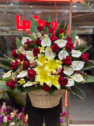 فروشگاه گل کاکتی