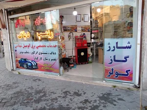 خدمات برق اتومبیل شهادتی