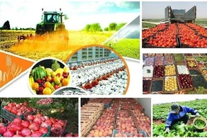 دفتر فراگامان نوین