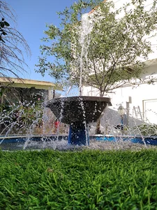 کافه و رستوران سنتی ویوا
