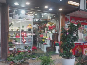 گالری گل بامبو ساری