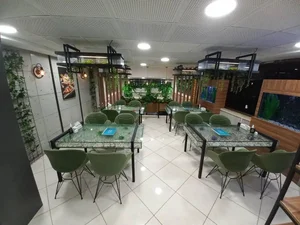 فست فود سورین 2
