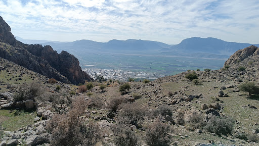 گزکوه