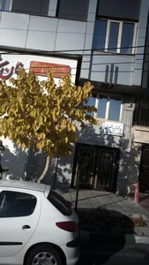 دکتر فریبا خضرایی 2
