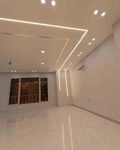 آلفا الکتریک