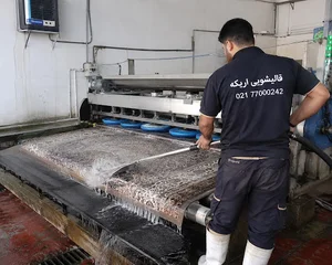 قالیشویی اریکه