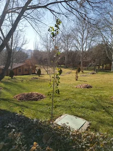 خانه های سازمانی ایران ترانسفو