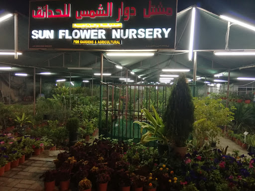 Wadi Al-Lawami Int'l Nursery, Mabelah