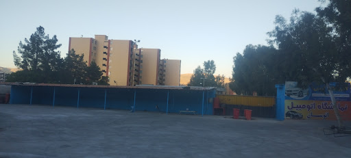 کارواش ارس