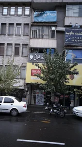 نمایندگی شیرین عسل