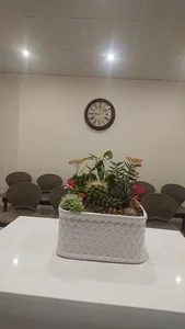 Dr. Saeidi 5