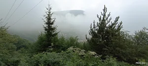 مدرسه هدف