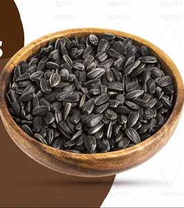 دفتر فروش تخمه و آجیل آوین