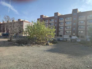 کوی نیکان