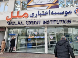موسسه اعتباري ملل