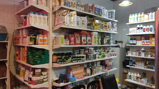 Pasteur vet pharmacy