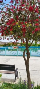 پارک بزرگ شهر (مارکار) 5