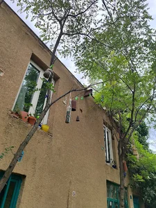 گالری جیران