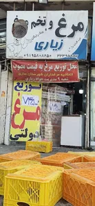 مرغ و پروتئین زیاری