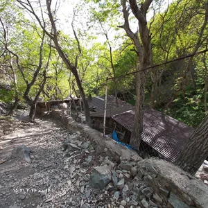 درکه 5