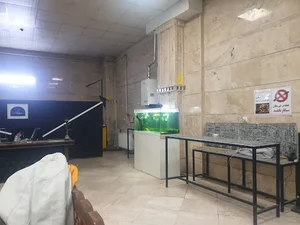 کافه زنجان