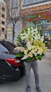 گلفروشی مسترفلاور(کاکتوس سابق)
