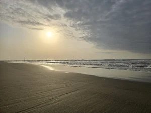 کافه نیلوفر آبی