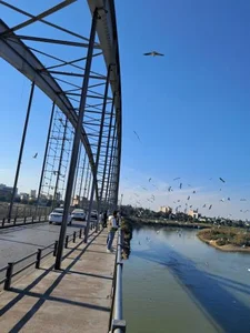 پل شهید علی هاشمی 2