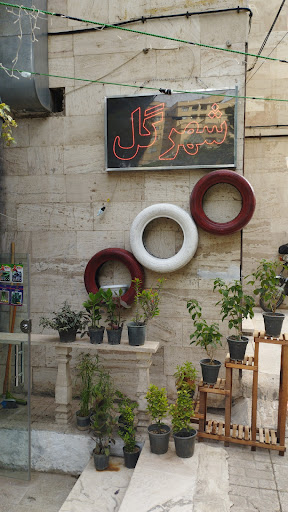 شهر گل