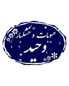حبوبات و خشکبار وحید