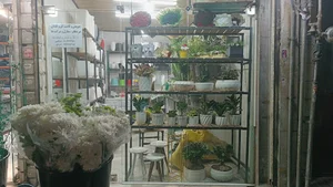 فروشگاه گلکده