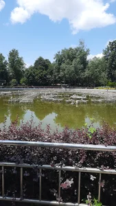 آبنمای موزیکال