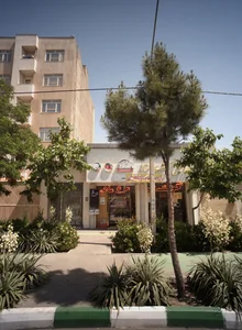 پروتئینی گوشت ممتاز