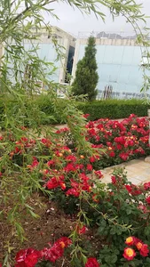دفتر شرکت مهندسی پیشرو کنترل سپاهان