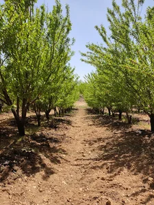 ایستگاه پمپاژ آب طرح عمان سامانی
