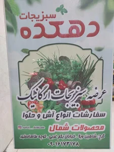 سبزیجات آماده دهکده 2