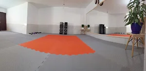 باشگاه مدوسا