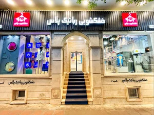 خشکشویی رباتیک پلاس