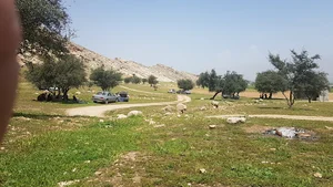 امامزاده میرعطار قلعه سید