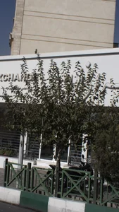 صرافی امین