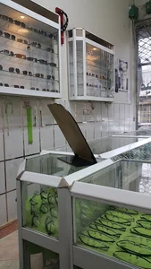 عینک بینا