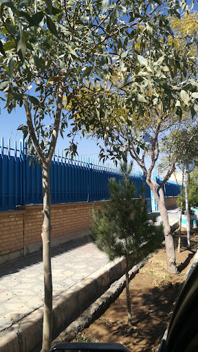 دهیاری محسن آباد
